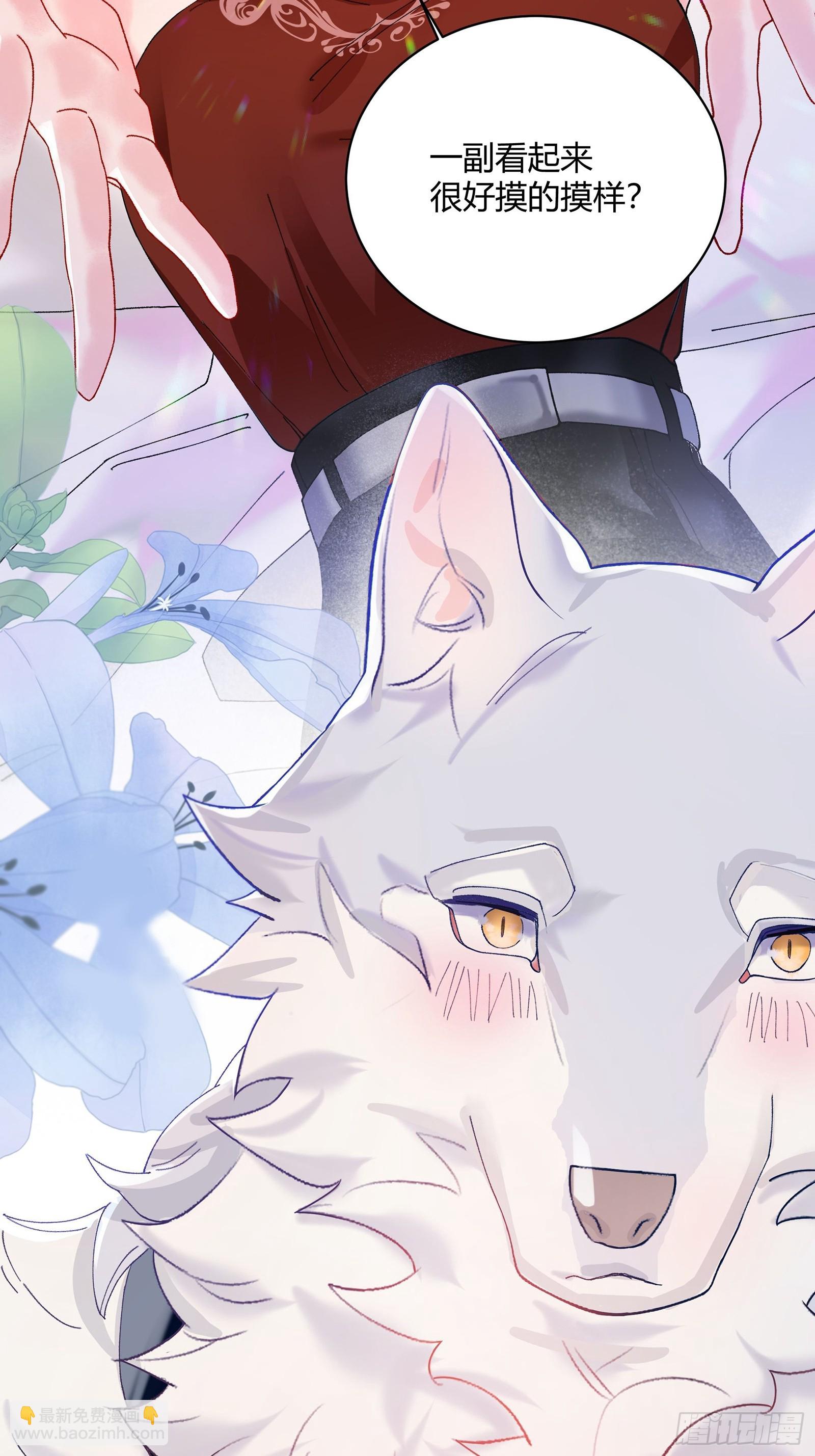 第2话 公关先生狼化？！-第4话