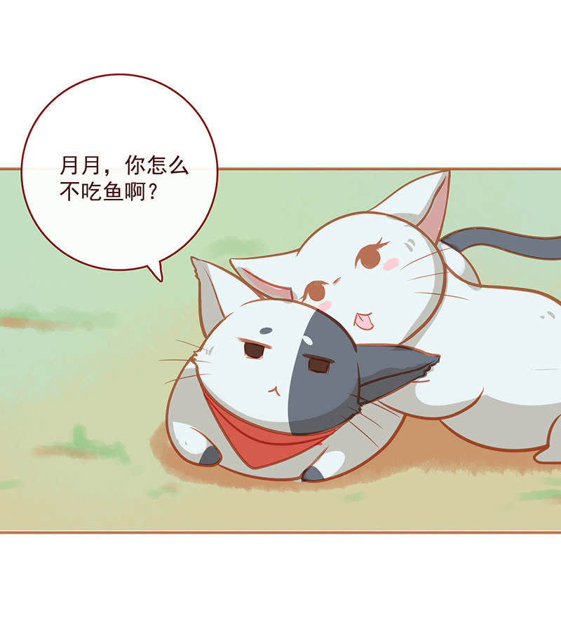 烟姐的照片(1/2)-第38话