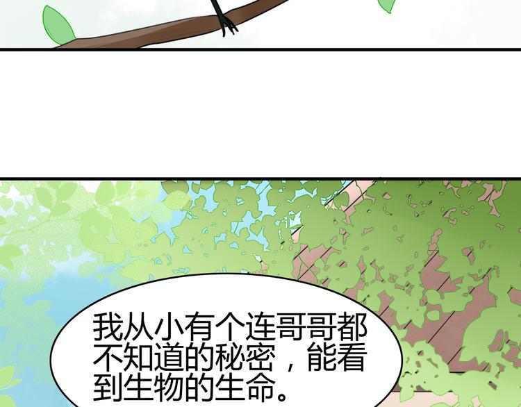 第14话 狮子宫长的过去（一）(1/2)-第14话