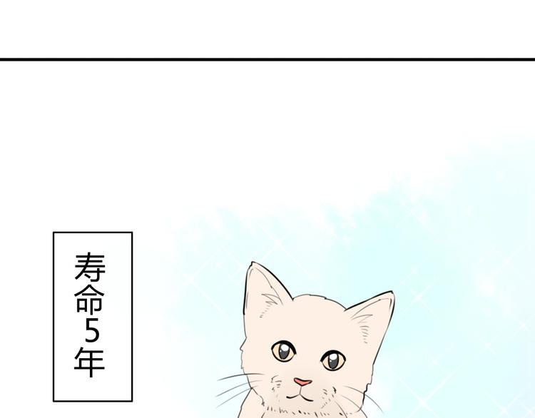 第14话 狮子宫长的过去（一）(1/2)-第14话