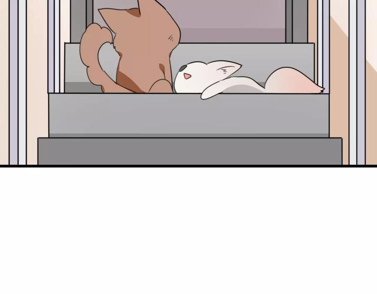 第37话 看望总宫长（二）(1/2)-第38话