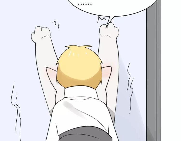 第41话 雏风来了（一）(1/2)-第42话