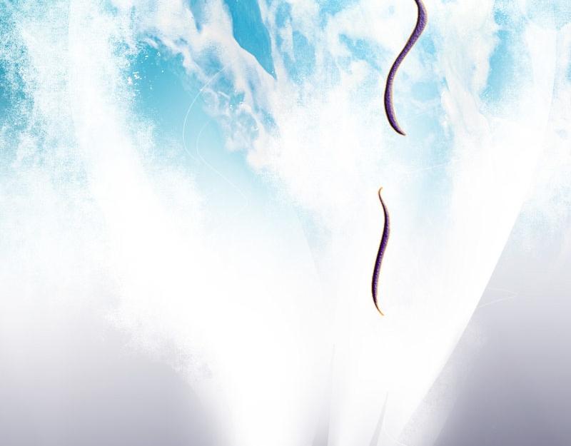 第26话 野兽来袭(1/2)-第26话