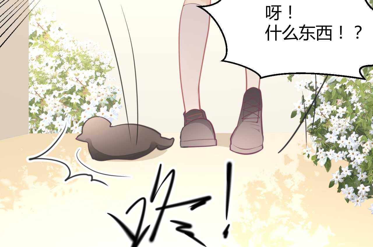 我的第101个未婚夫 - 第44话 猫从楼上掉了下来(2/3) - 5