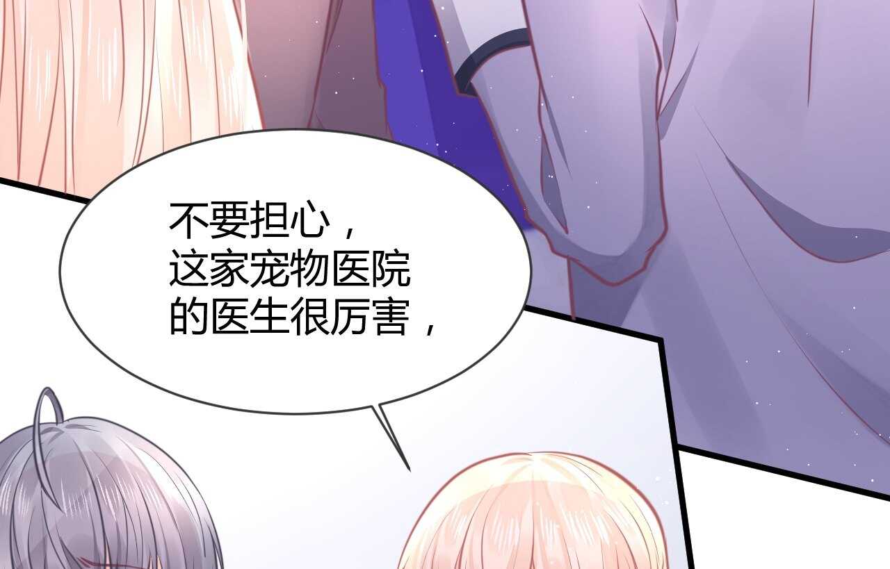 我的第101个未婚夫 - 第44话 猫从楼上掉了下来(2/3) - 7