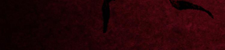 第28话 我是你的相公-第28话