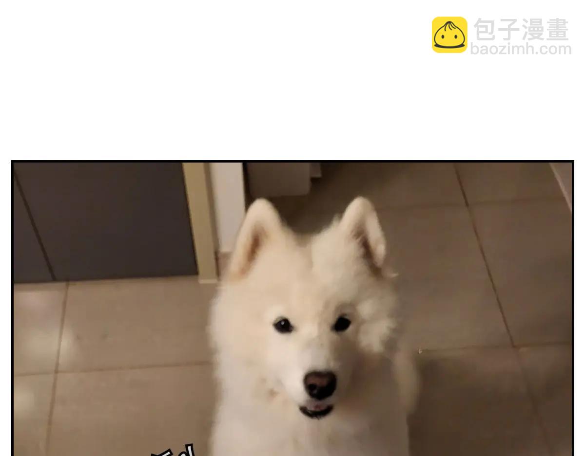 第34话 做棉花的饭(1/2)-第102话