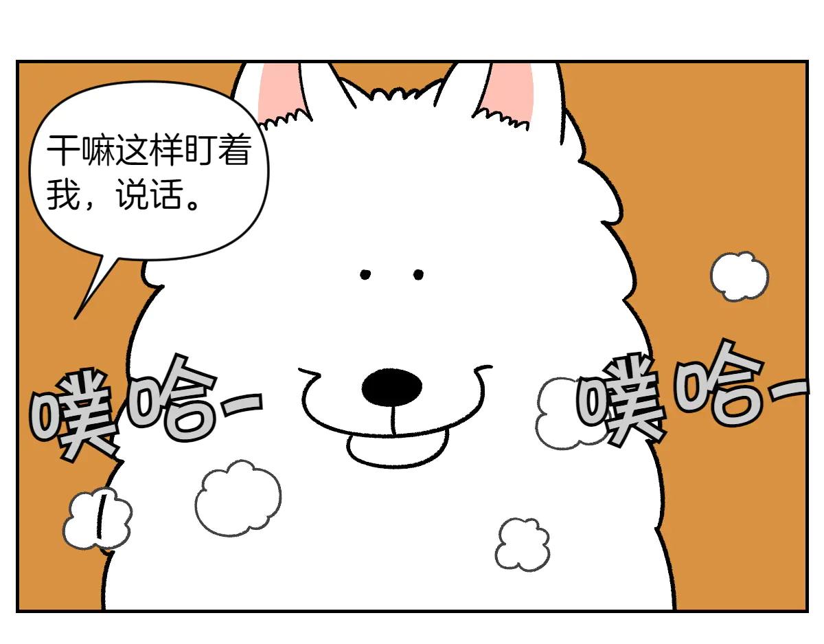 第34话 做棉花的饭(1/2)-第102话