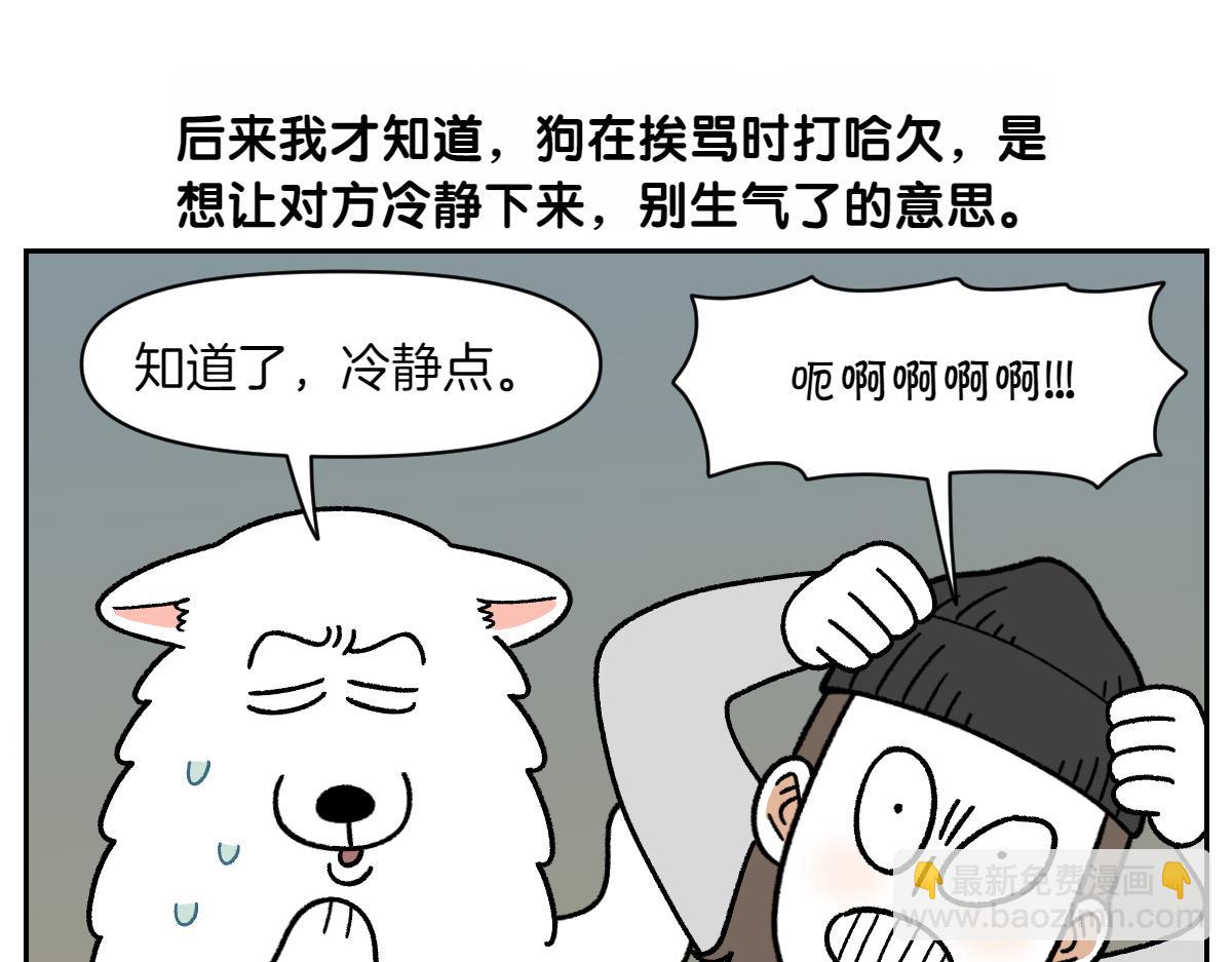 第36话 狗和猫的身体语言-第104话