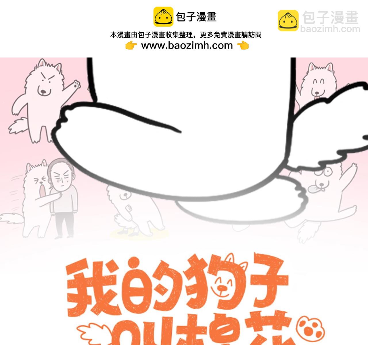 第36话 狗和猫的身体语言-第104话