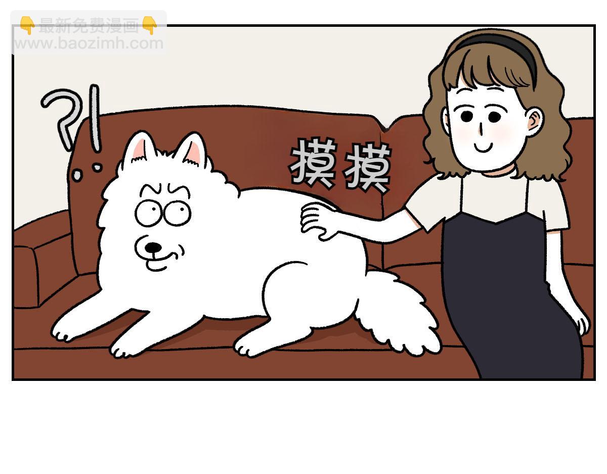 第36话 狗和猫的身体语言-第104话