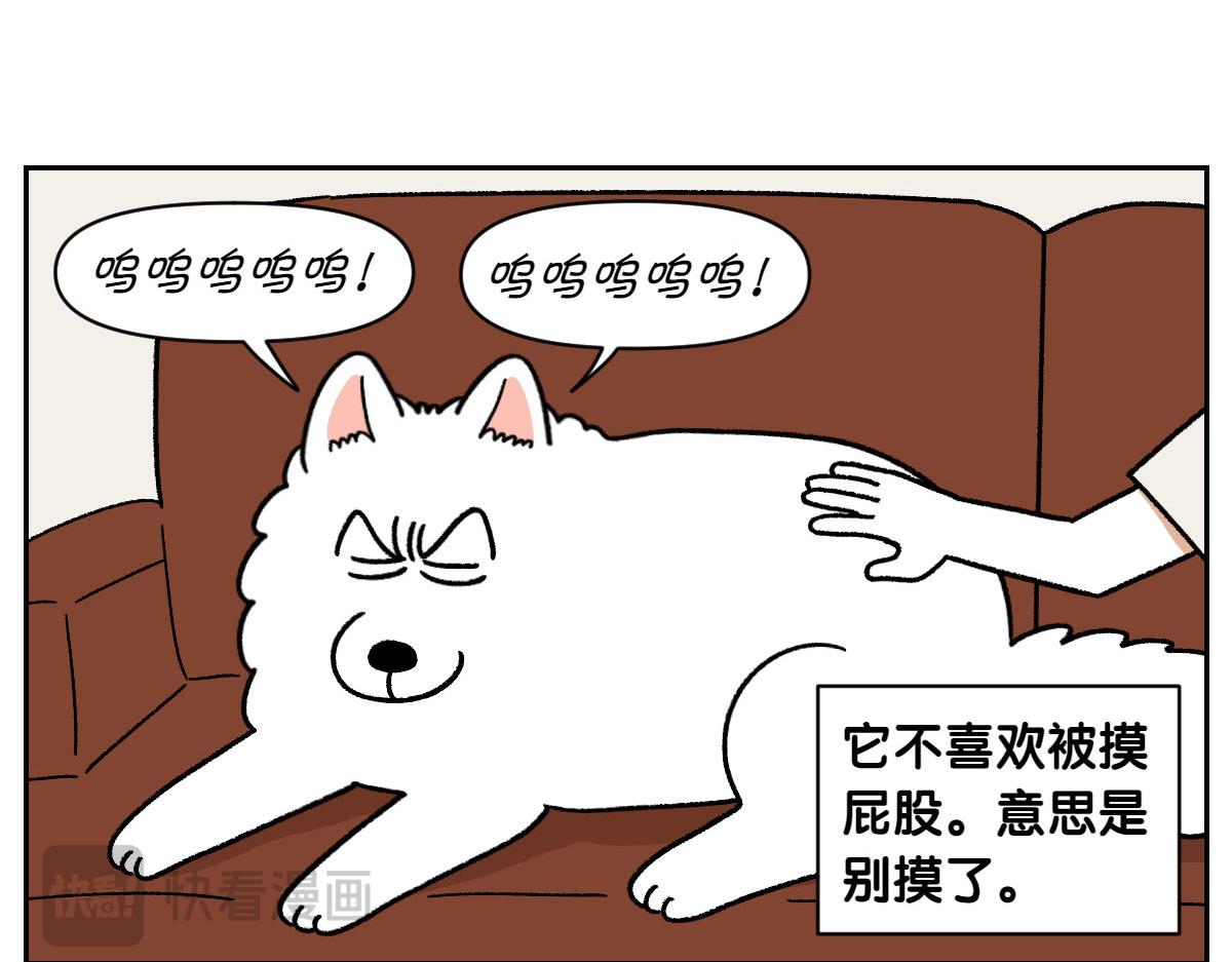 第36话 狗和猫的身体语言-第104话