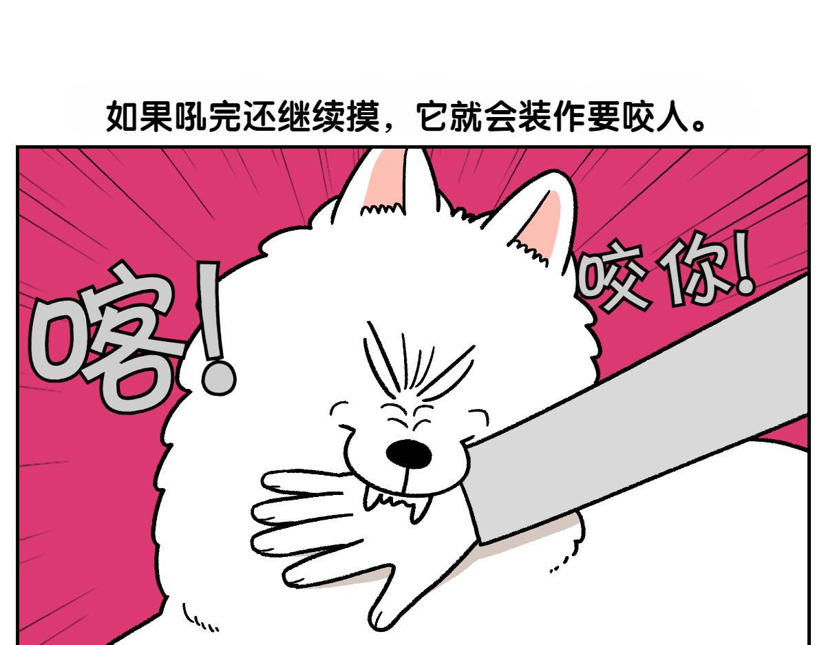 第36话 狗和猫的身体语言-第104话