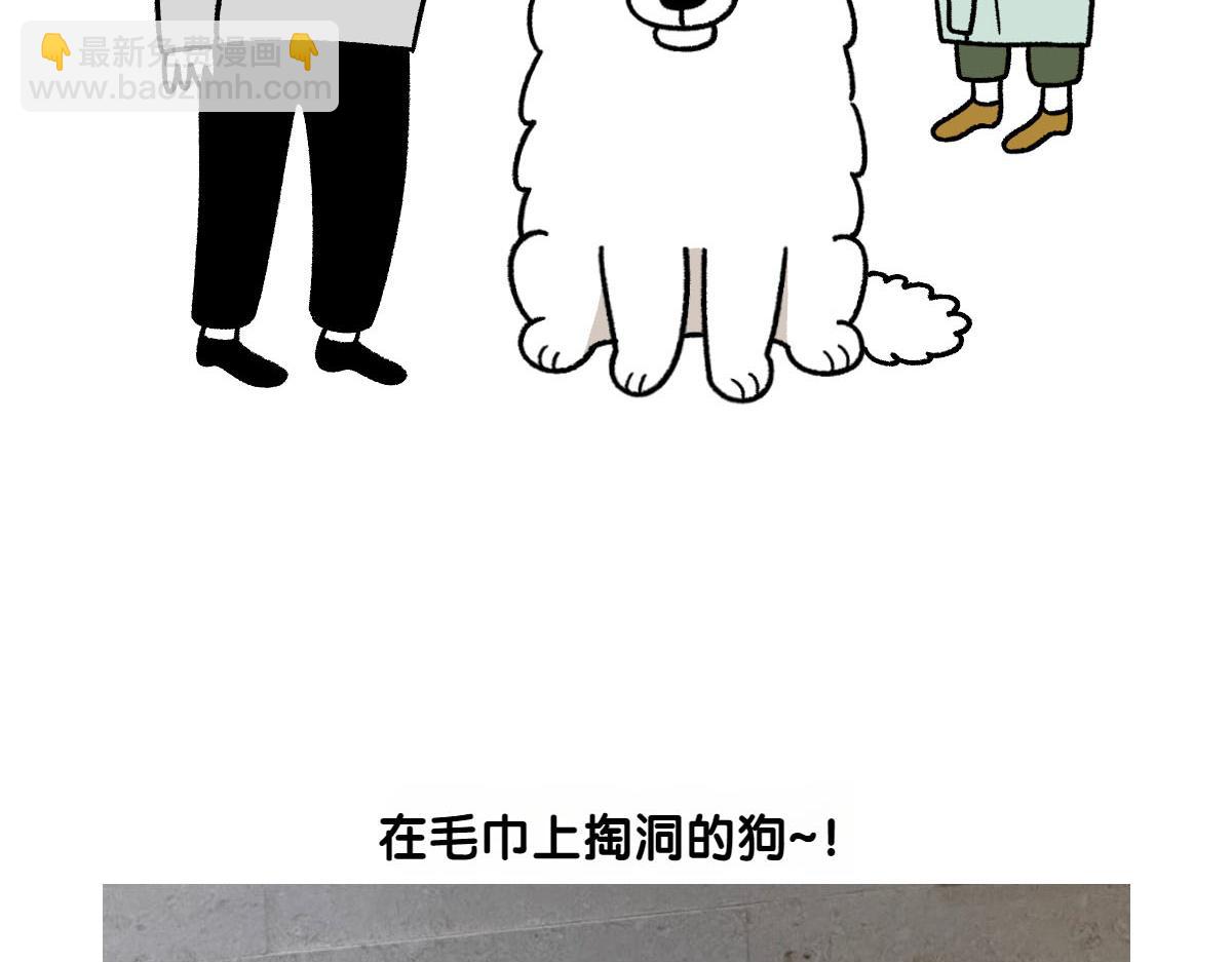 第36话 狗和猫的身体语言-第104话