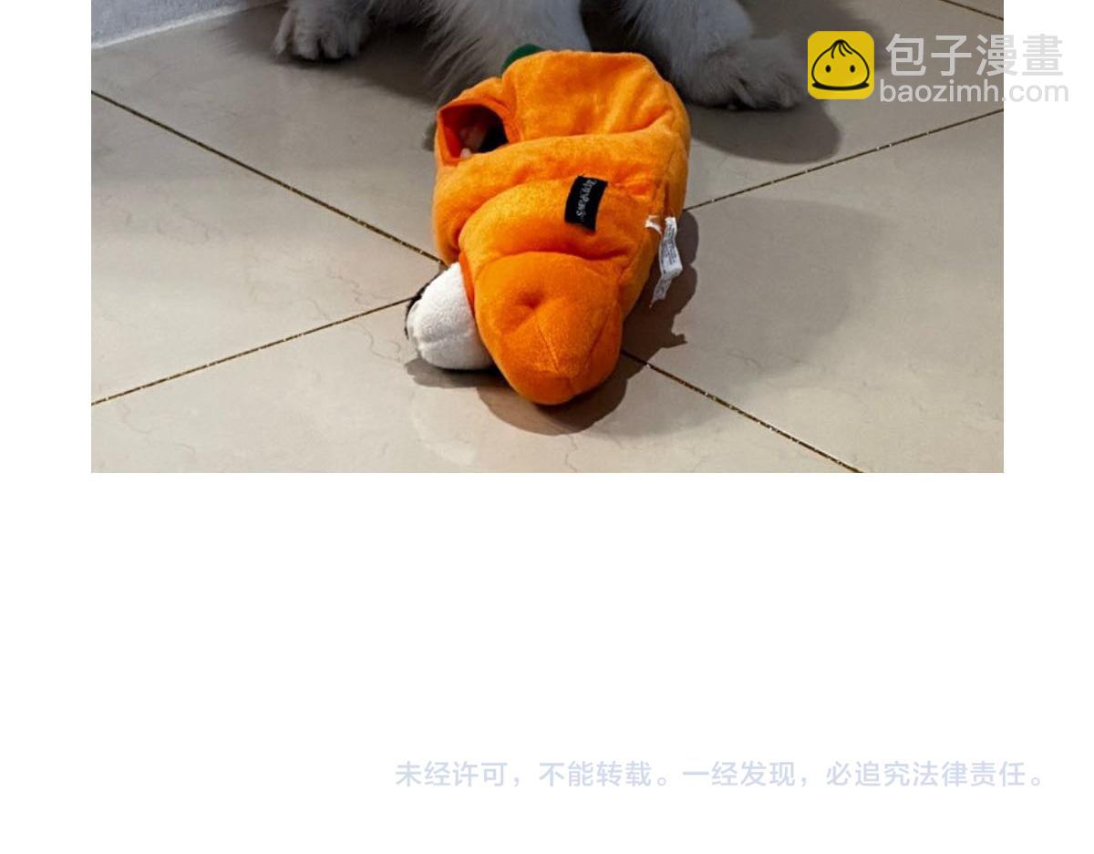 第36话 狗和猫的身体语言-第104话