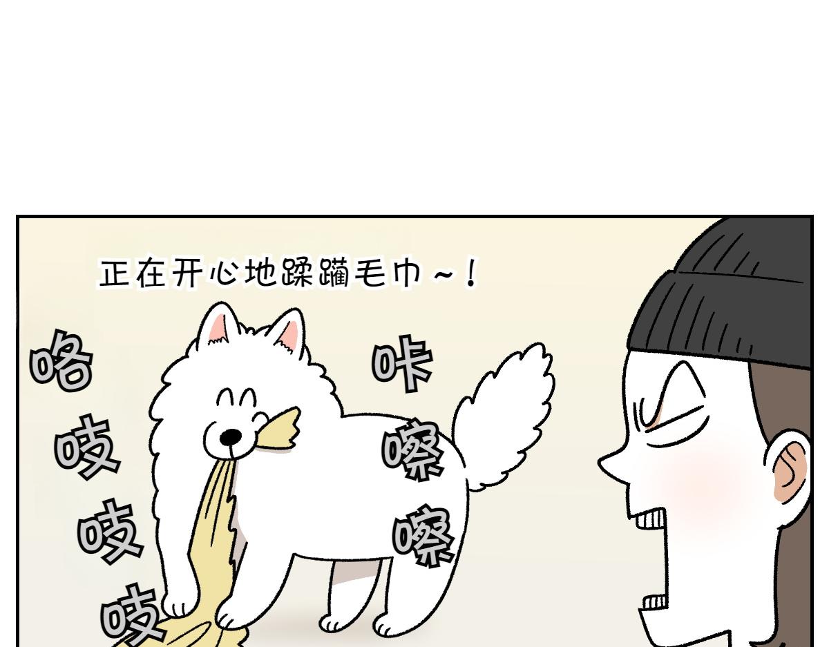 第36话 狗和猫的身体语言-第104话