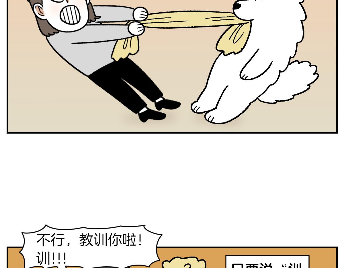 第36话 狗和猫的身体语言-第104话