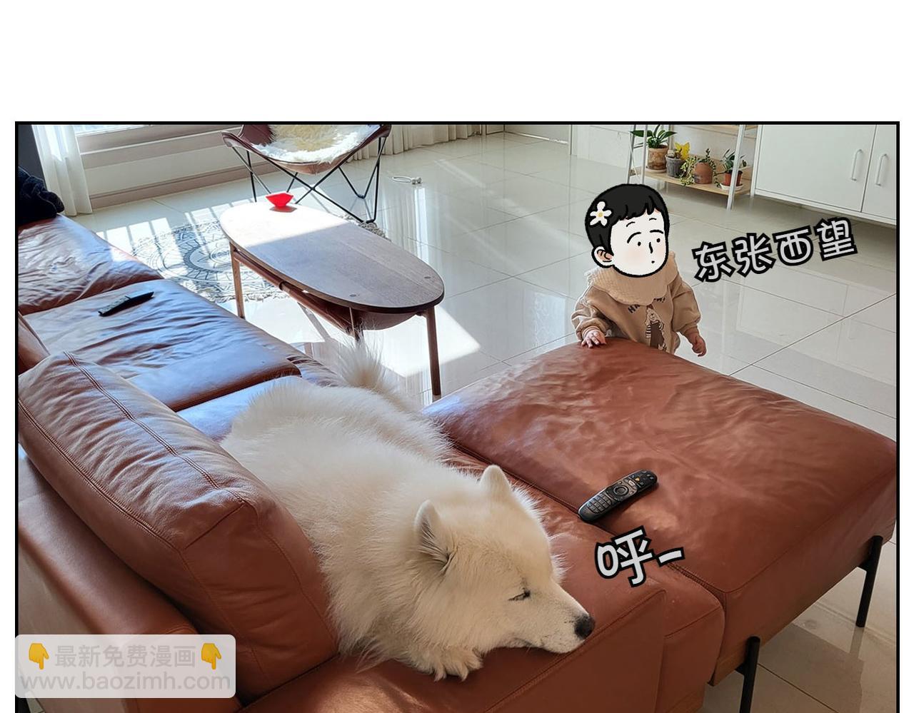 第38话 狗和宝宝的共同点(1/2)-第106话