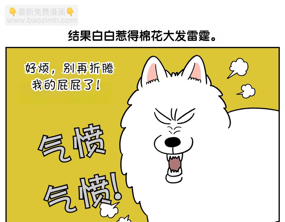 第40话 挤肛门腺(1/2)-第108话