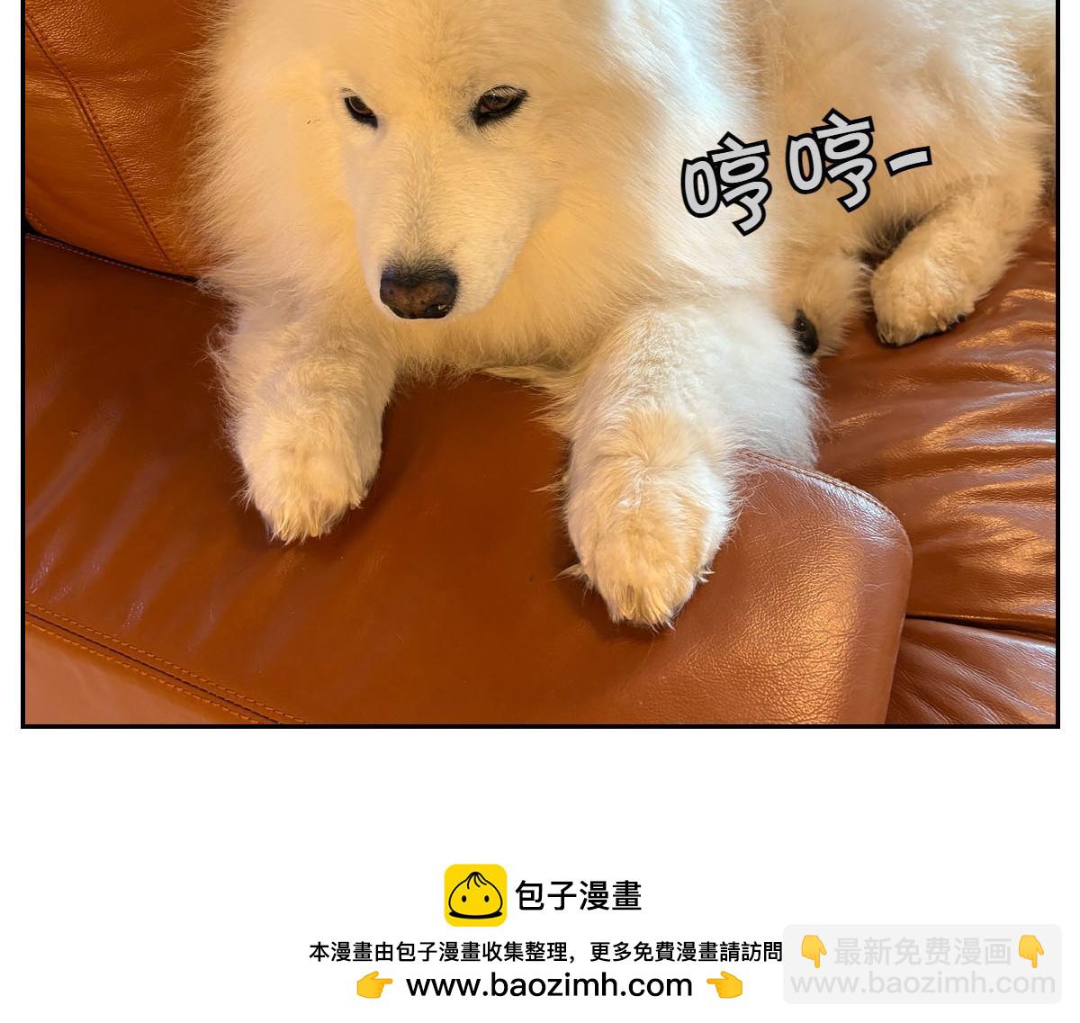 第40话 挤肛门腺(1/2)-第108话