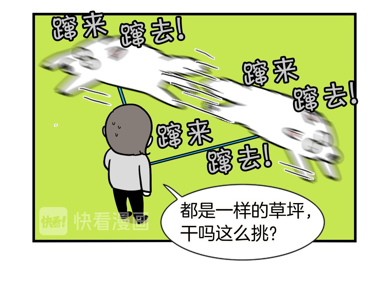 第11话 捡狗粑粑那些事～(1/2)-第12话