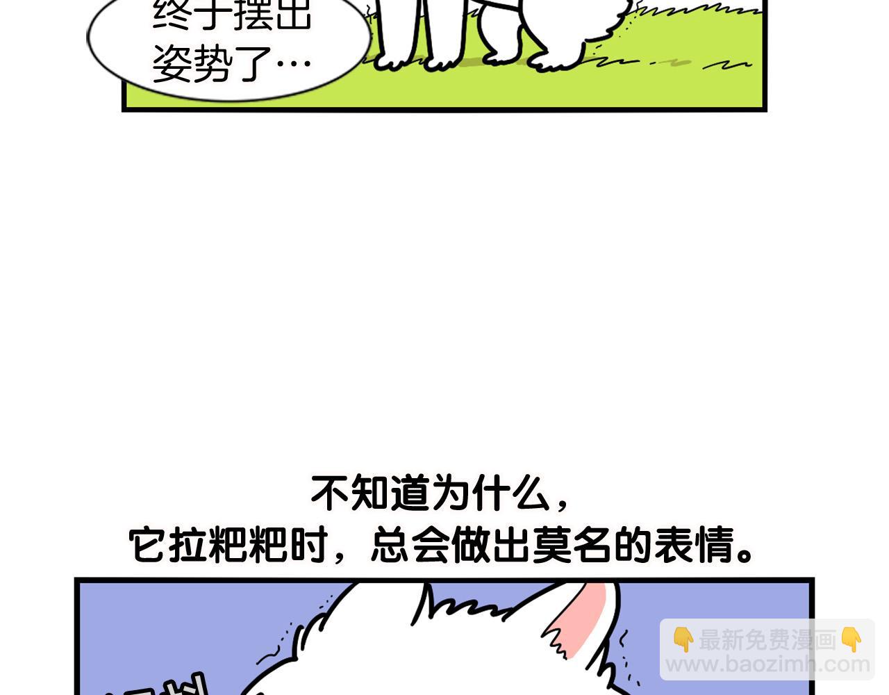 第11话 捡狗粑粑那些事～(1/2)-第12话