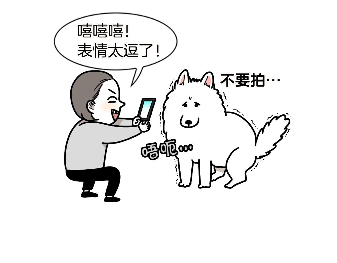 第11话 捡狗粑粑那些事～(1/2)-第12话