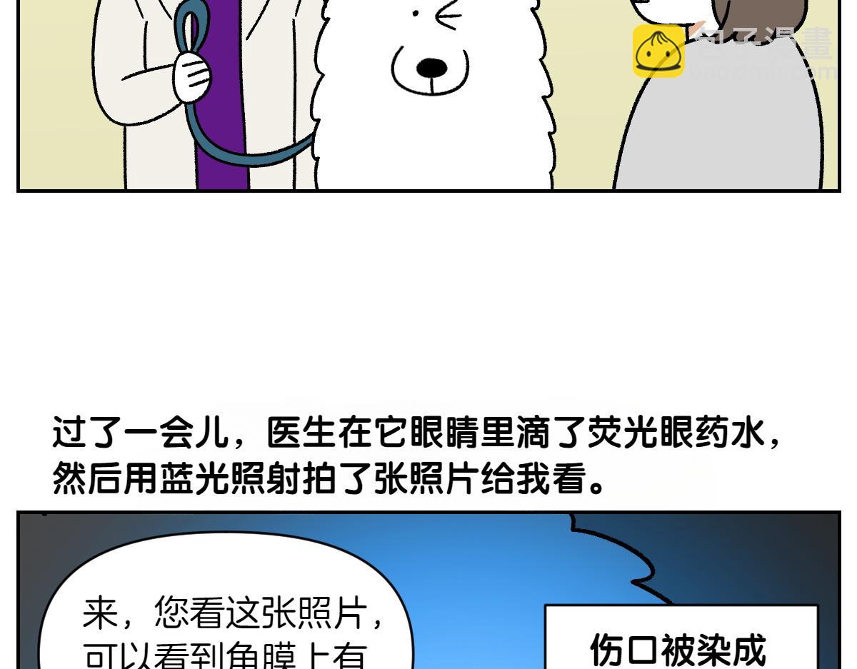 第42话 治疗眼病(1)(1/2)-第110话