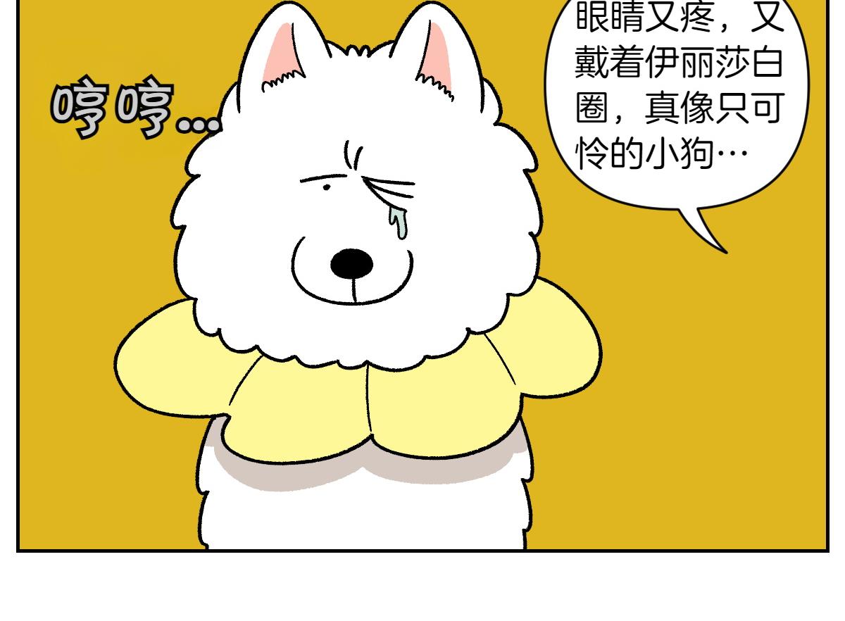 第42话 治疗眼病(1)(1/2)-第110话