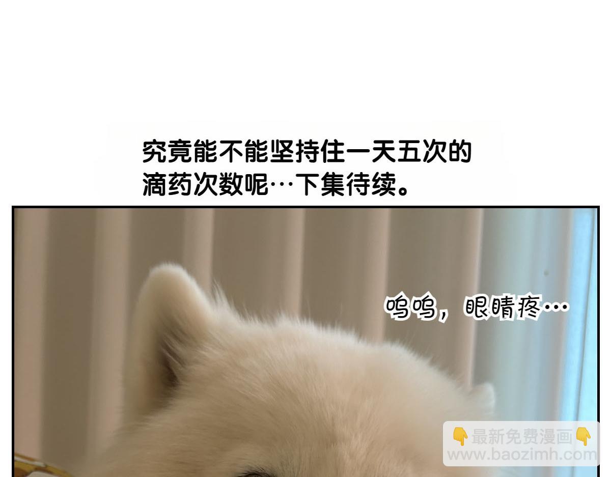 第42话 治疗眼病(1)(1/2)-第110话