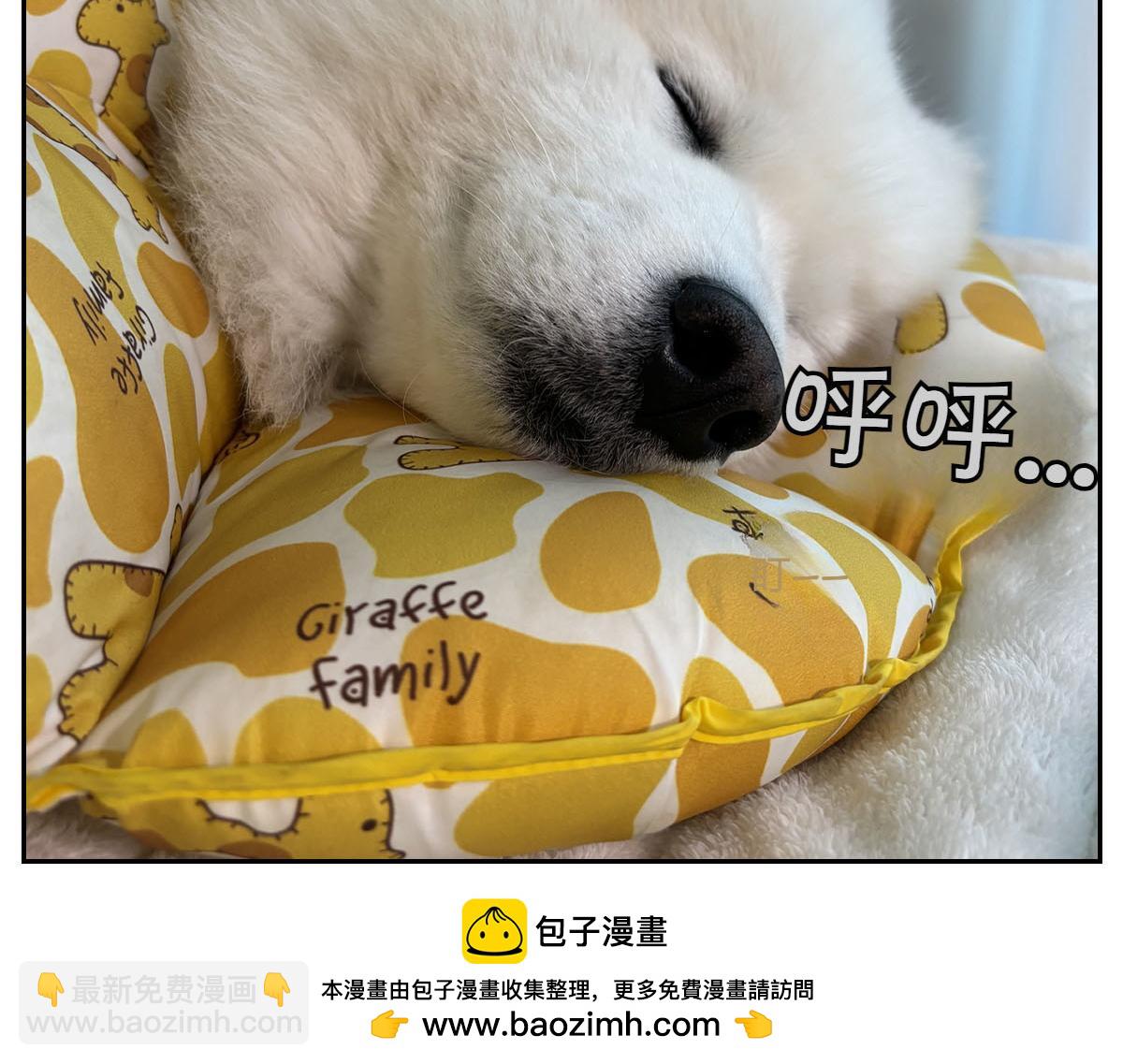 第42话 治疗眼病(1)(1/2)-第110话