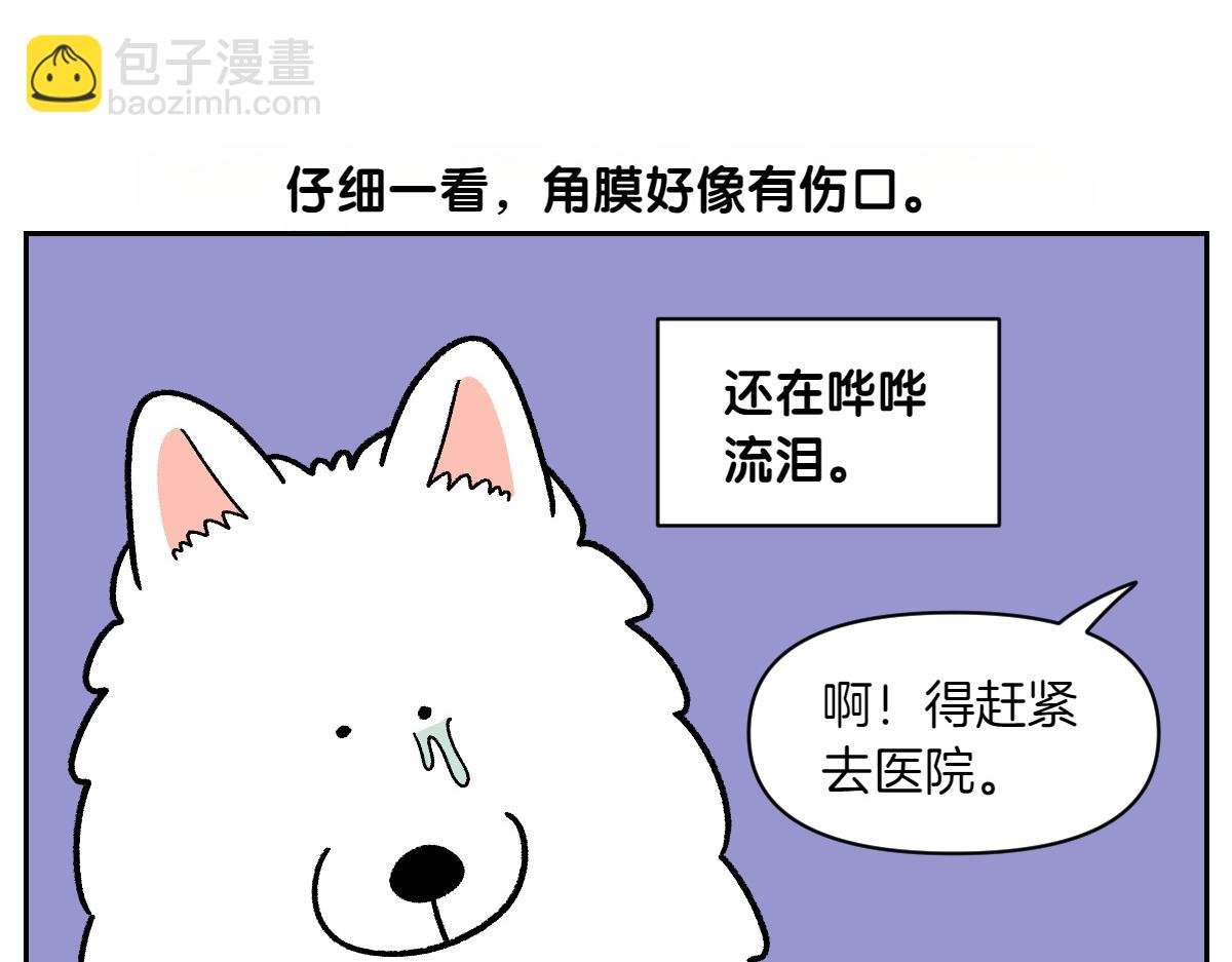 第42话 治疗眼病(1)(1/2)-第110话