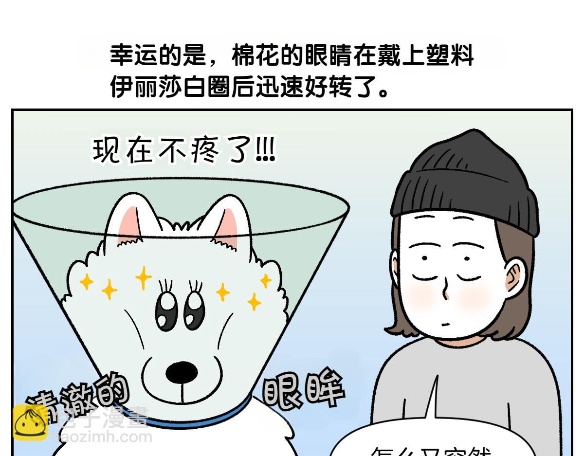 第44话 治疗眼病(3)(1/2)-第112话