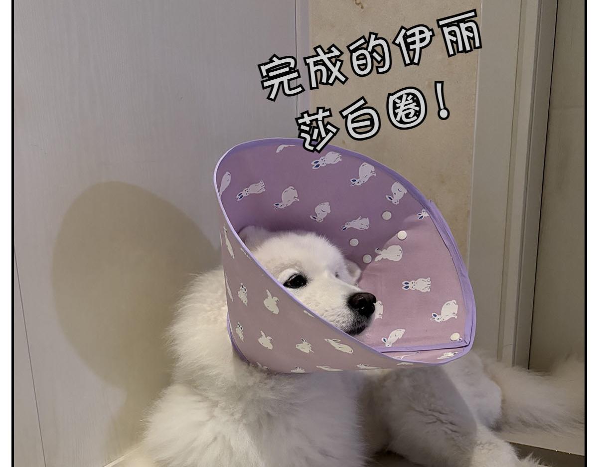 第44话 治疗眼病(3)(1/2)-第112话