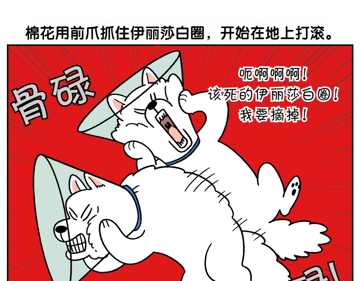 第44话 治疗眼病(3)(1/2)-第112话