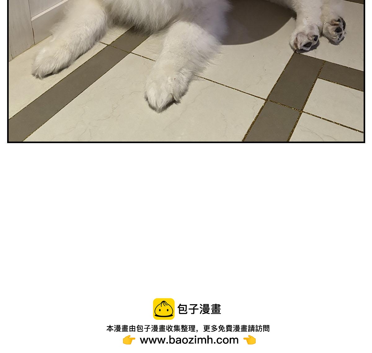 第44话 治疗眼病(3)(1/2)-第112话