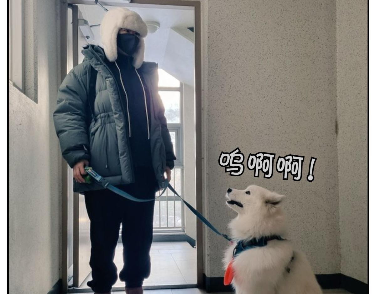 第46话 姐姐们的冬季散步look(1/2)-第114话