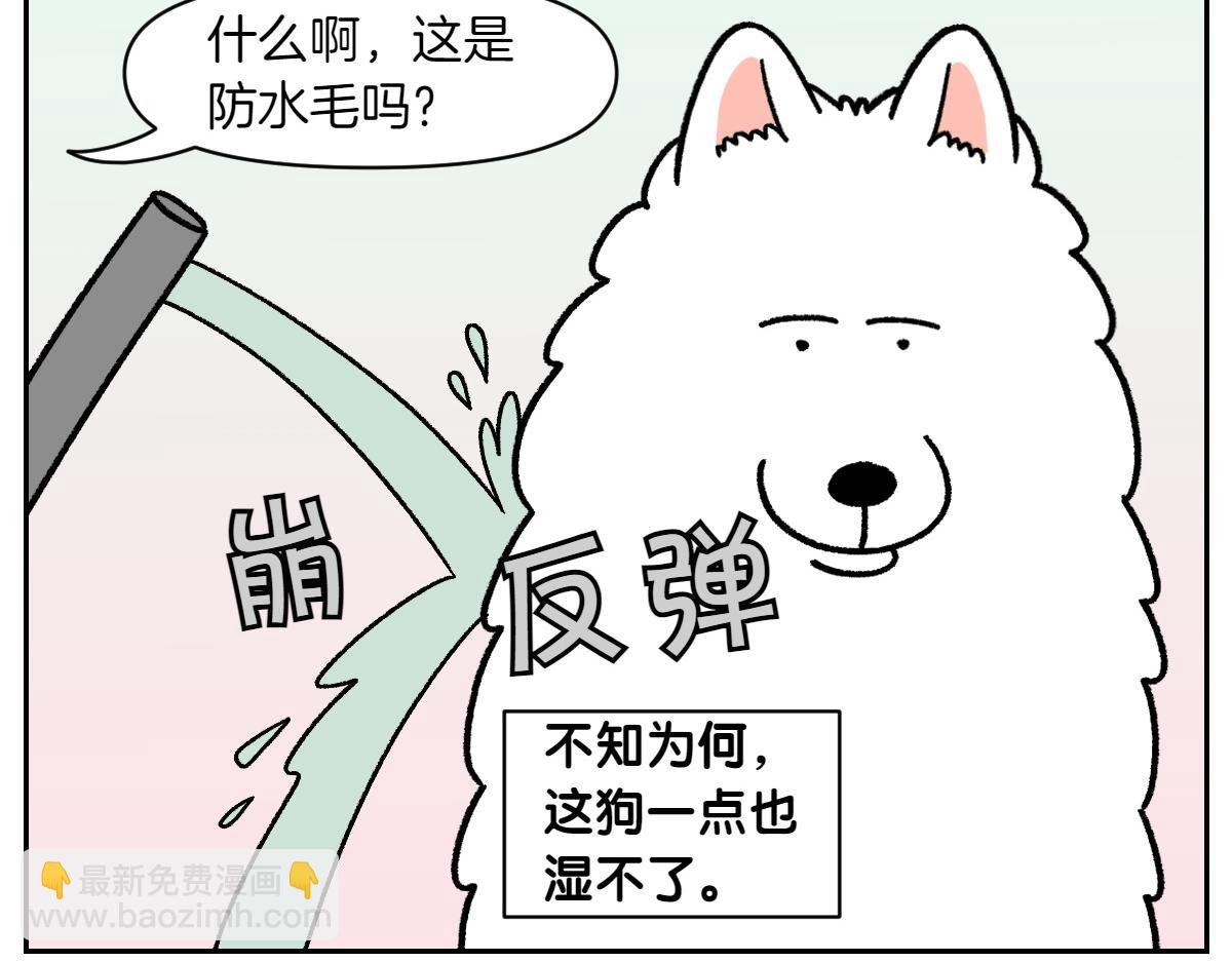 第48话 洗澡(1/2)-第116话