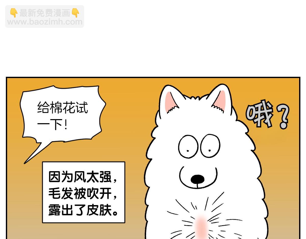 第50话 超强风吹干-第118话