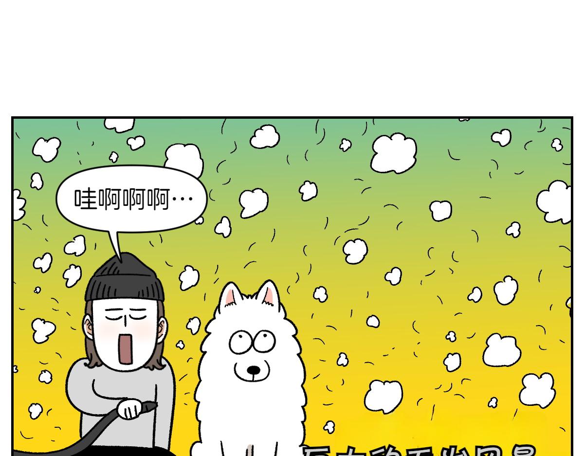 第50话 超强风吹干-第118话