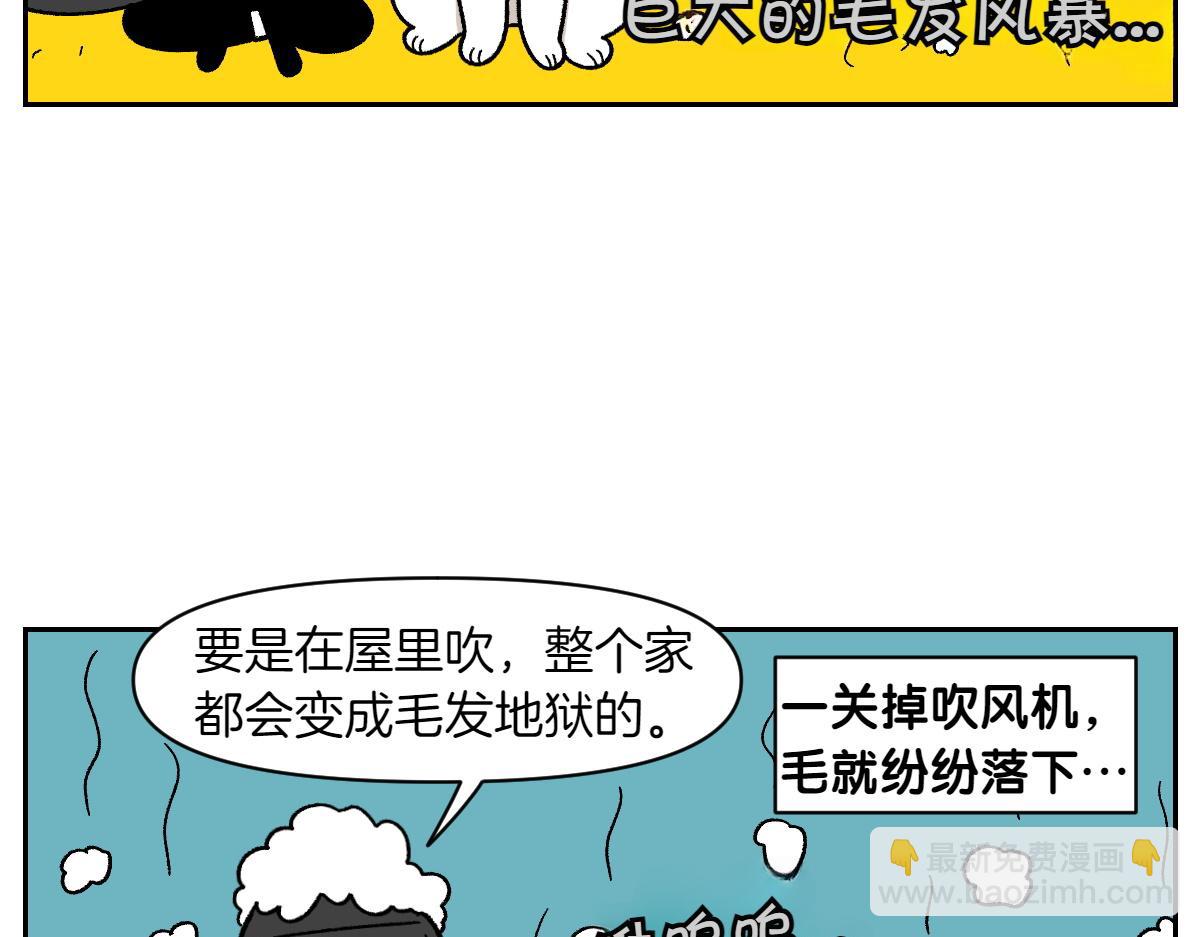 第50话 超强风吹干-第118话