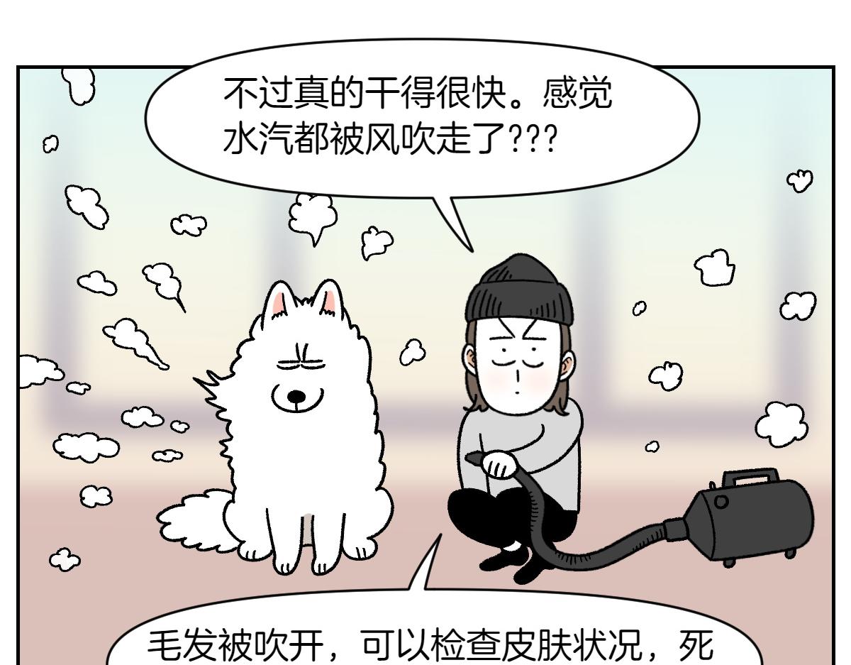 第50话 超强风吹干-第118话