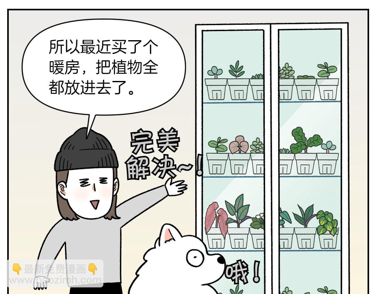 第50话 超强风吹干-第118话