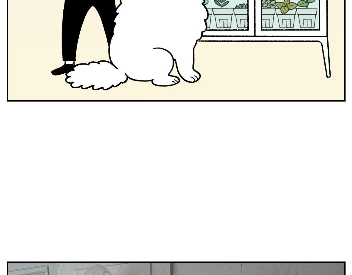 第50话 超强风吹干-第118话