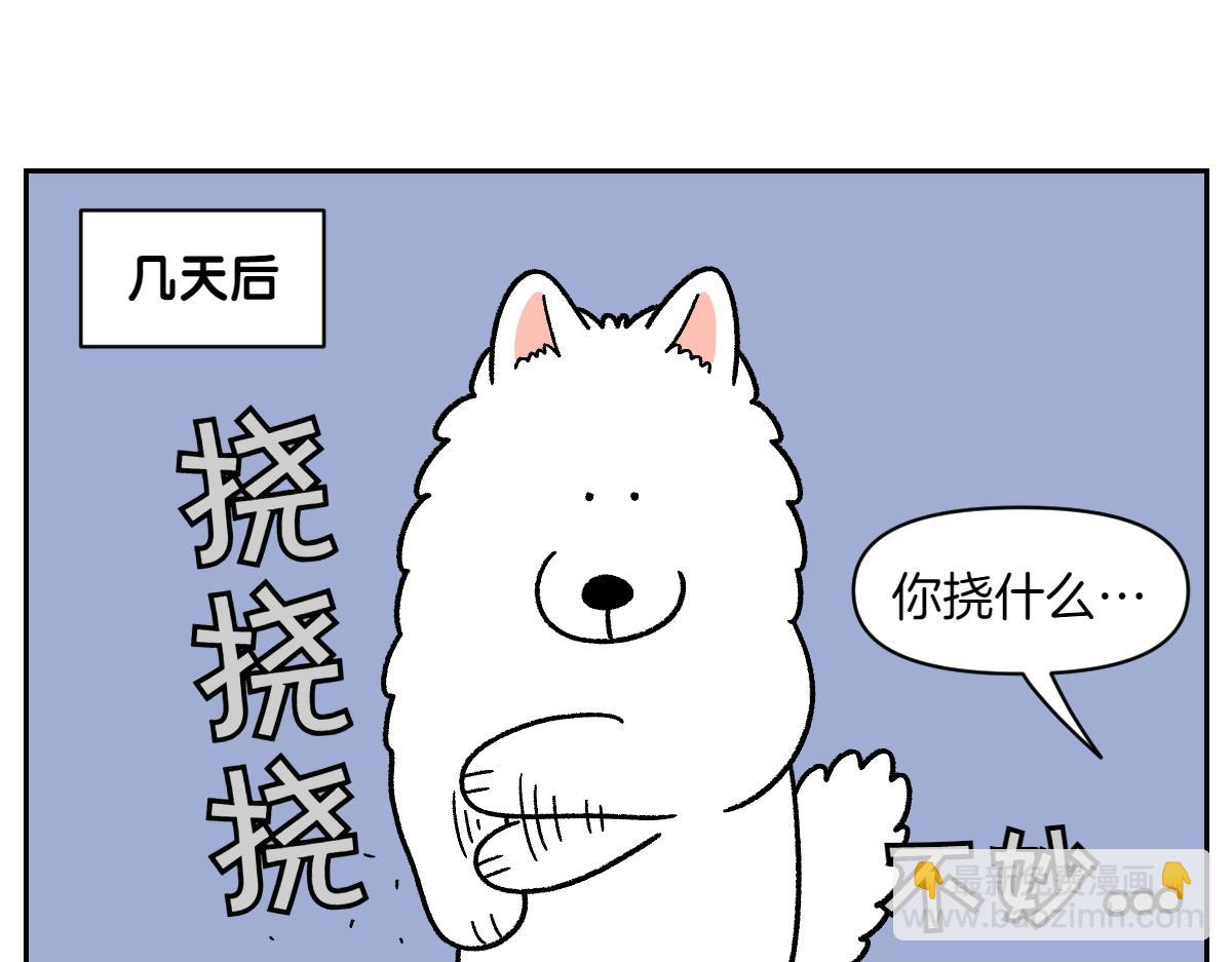 第52话 被传染猫癣-第120话