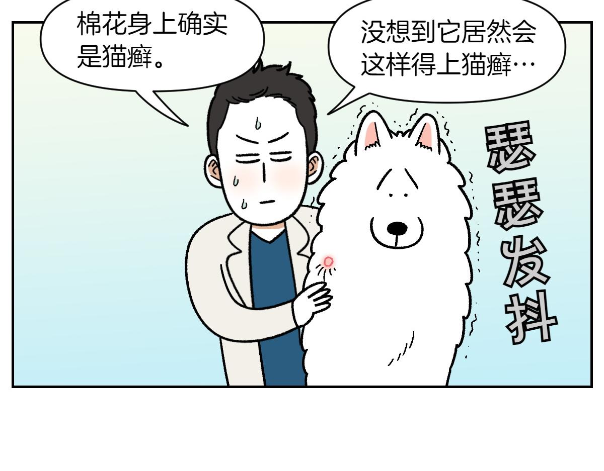 第52话 被传染猫癣-第120话
