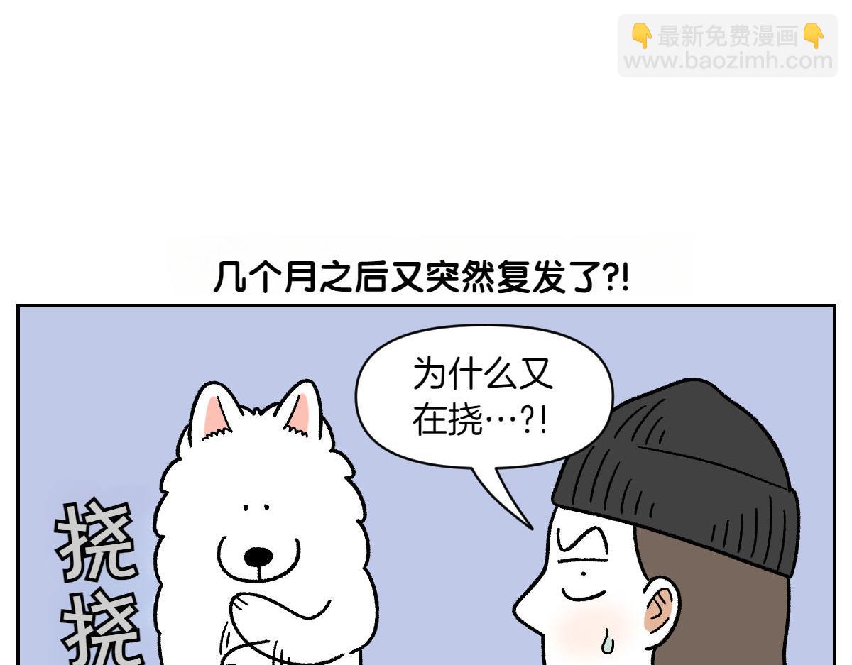 第52话 被传染猫癣-第120话