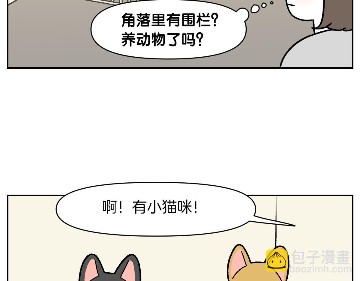 第52话 被传染猫癣-第120话