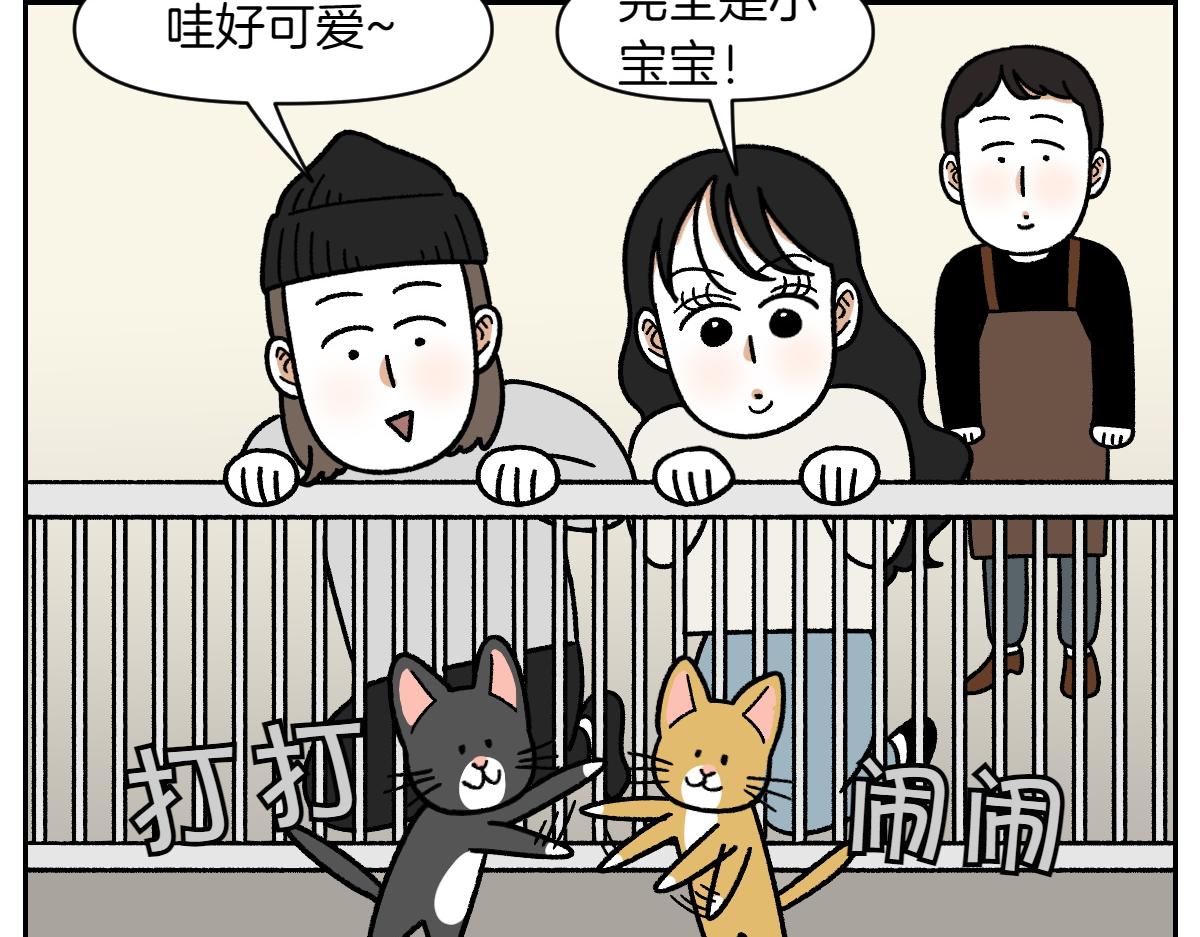 第52话 被传染猫癣-第120话