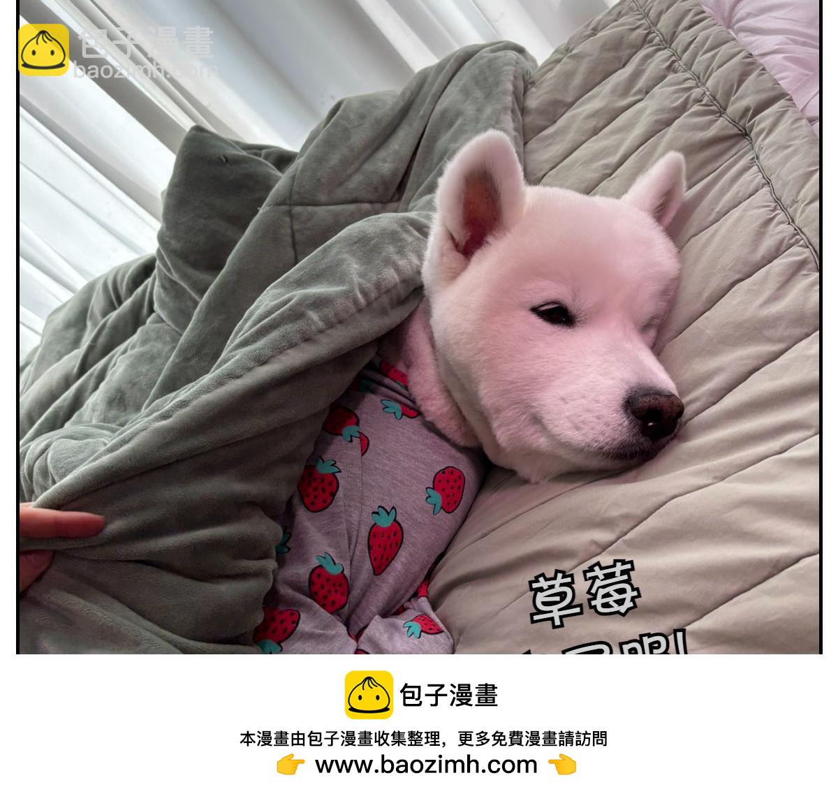 第54话 一起在床上睡吧(1/2)-第122话